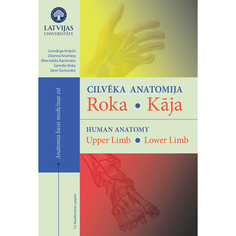 Cilvēka anatomija. Roka. Kāja / Gundega Knipše, Džanna Krūmiņa, Miervaldis Kaminskis, Sarmīte Broka, Jānis Šavlovskis