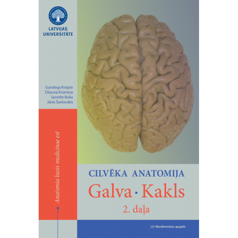 Cilvēka anatomija. Galva. Kakls. 2. daļa / Gundega Knipše, Džanna Krūmiņa, Sarmīte Boka, Jānis Šavlovskis